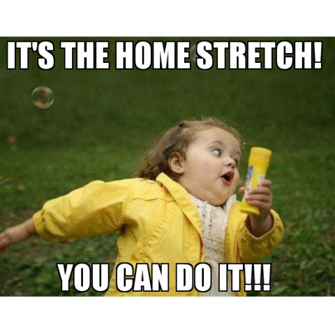 It's the home stretch! you can do it!