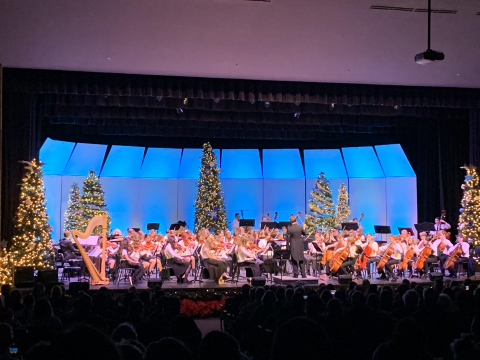 Winter Orchestra Concert